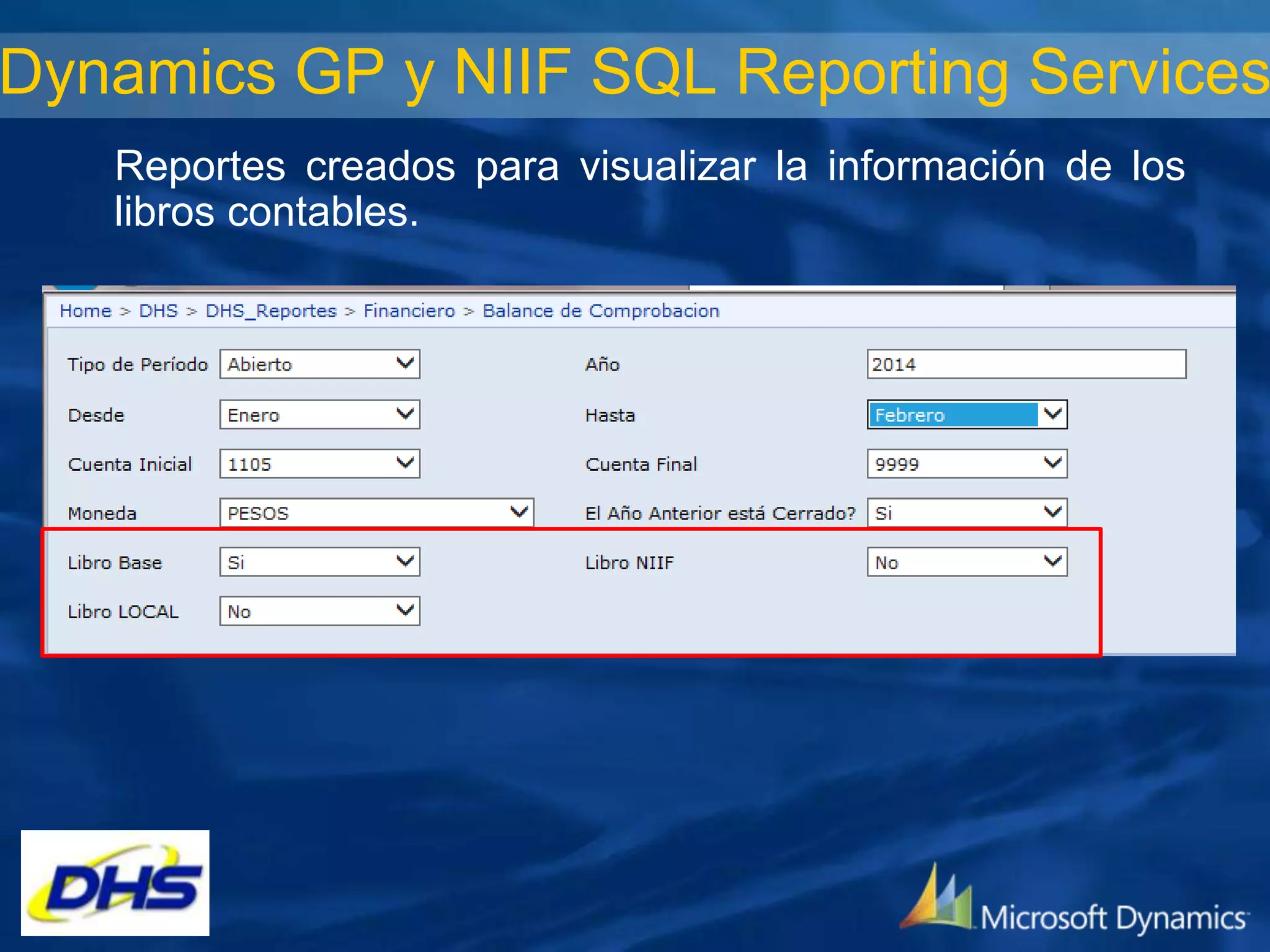 Dynamics GP y NIIF SQL Reporting Services
Reportes creados para visualizar la información de los
libros contables.

 