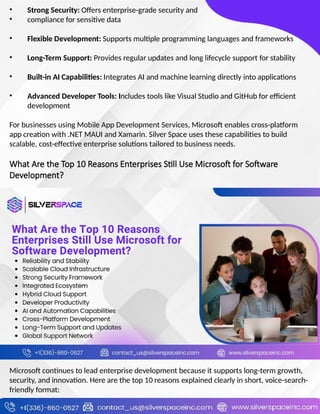 Microsoft Enterprise Software Development Services | PPTX