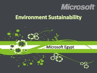 Microsoft Egypt
 