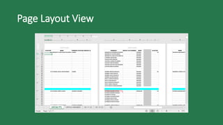 Page Layout View
 