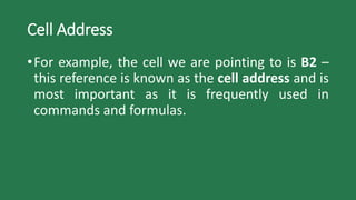 Cell Address
•For example, the cell we are pointing to is B2 –
this reference is known as the cell address and is
most important as it is frequently used in
commands and formulas.
 
