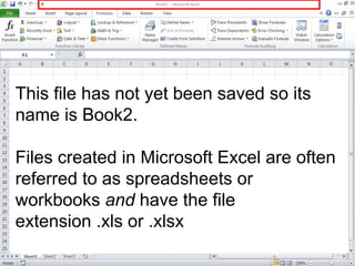 This file has not yet been saved so its
name is Book2.
Files created in Microsoft Excel are often
referred to as spreadsheets or
workbooks and have the file
extension .xls or .xlsx
 