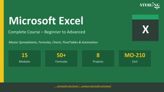 Master Microsoft Excel – Advanced Data Skills Training | PDF