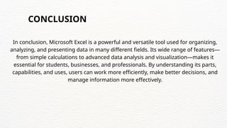 MICROSOFT EXCEL back ground and developers and also capabilities and ...