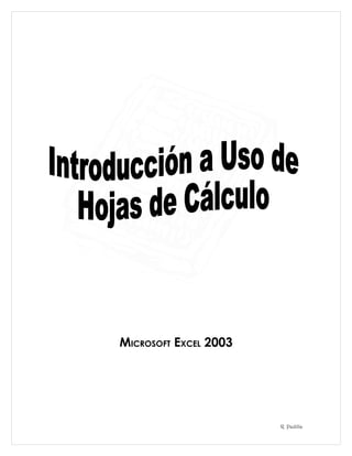 MICROSOFT EXCEL 2003




                       R. Padilla
 