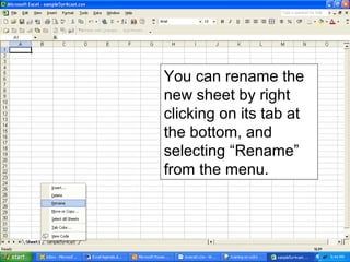 You can rename the
new sheet by right
clicking on its tab at
the bottom, and
selecting “Rename”
from the menu.
 