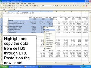 Highlight and
copy the data
from cell B9
through E18.
Paste it on the
new sheet.
 