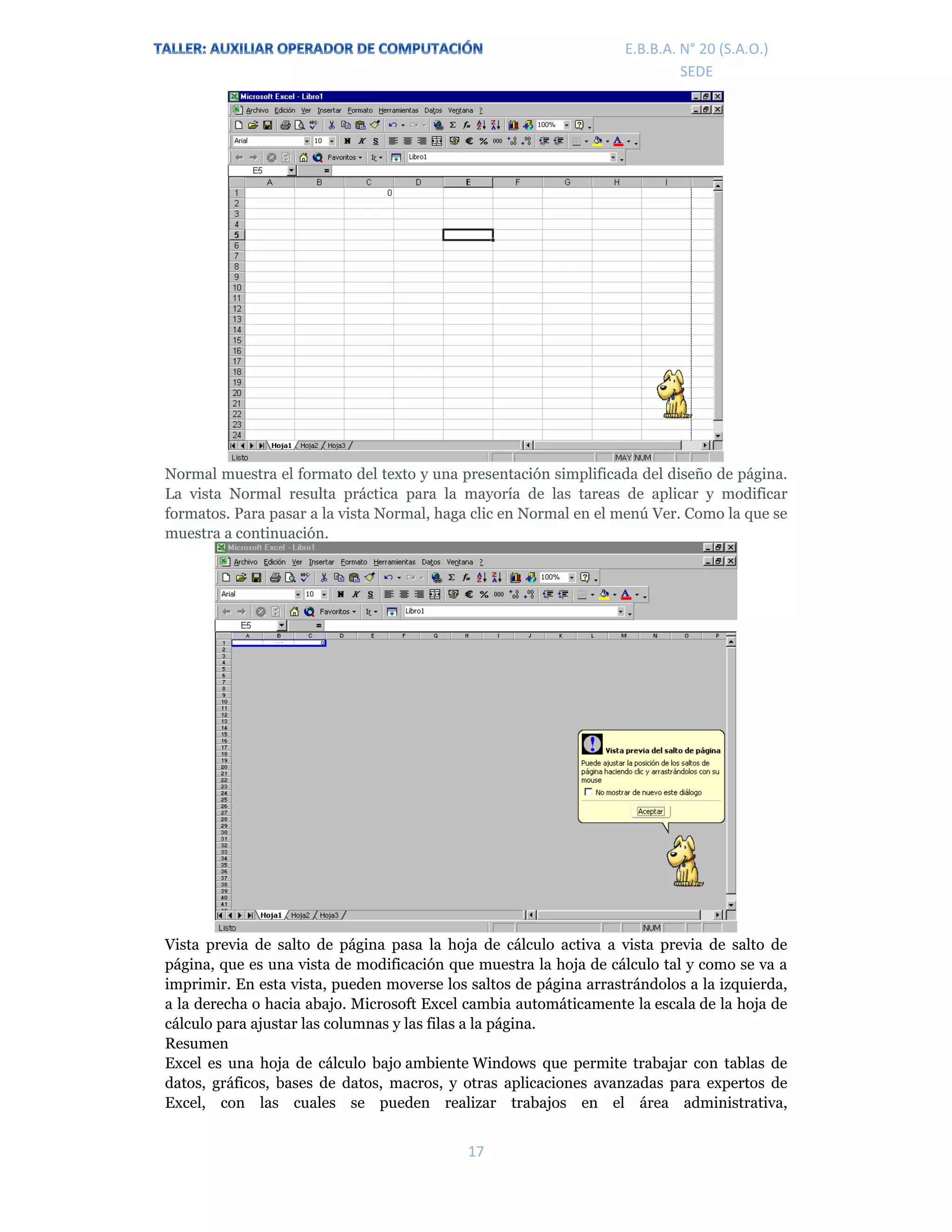E.P.J.A. N° 20 (S.A.O.)  
 
17 
 
E.B.B.A. N° 20 (S.A.O.) 
SEDE 
Normal muestra el formato del texto y una presentación simplificada del diseño de página.
La vista Normal resulta práctica para la mayoría de las tareas de aplicar y modificar
formatos. Para pasar a la vista Normal, haga clic en Normal en el menú Ver. Como la que se
muestra a continuación.
Vista previa de salto de página pasa la hoja de cálculo activa a vista previa de salto de
página, que es una vista de modificación que muestra la hoja de cálculo tal y como se va a
imprimir. En esta vista, pueden moverse los saltos de página arrastrándolos a la izquierda,
a la derecha o hacia abajo. Microsoft Excel cambia automáticamente la escala de la hoja de
cálculo para ajustar las columnas y las filas a la página.
Resumen
Excel es una hoja de cálculo bajo ambiente Windows que permite trabajar con tablas de
datos, gráficos, bases de datos, macros, y otras aplicaciones avanzadas para expertos de
Excel, con las cuales se pueden realizar trabajos en el área administrativa,
 