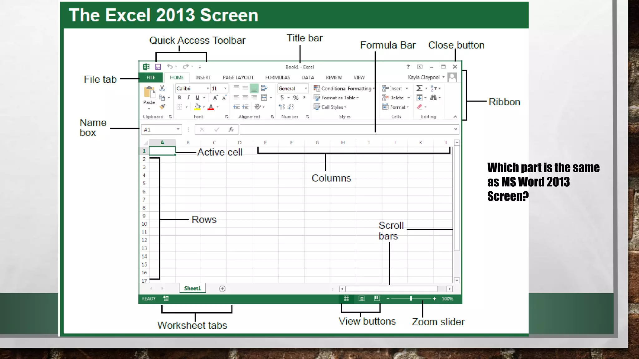 Which part is the same 
as MS Word 2013 
Screen? 
 