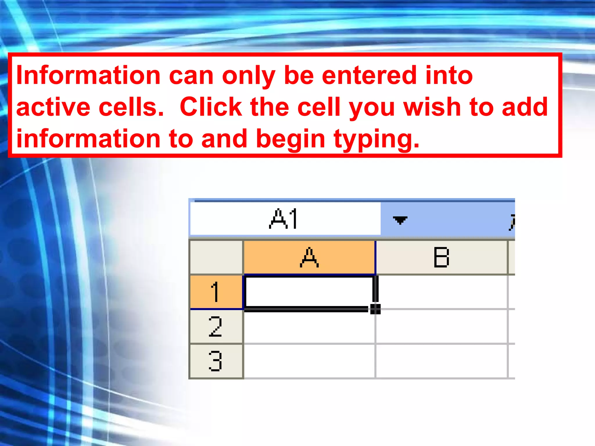 Information can only be entered into active cells.  Click the cell you wish to add information to and begin typing. 