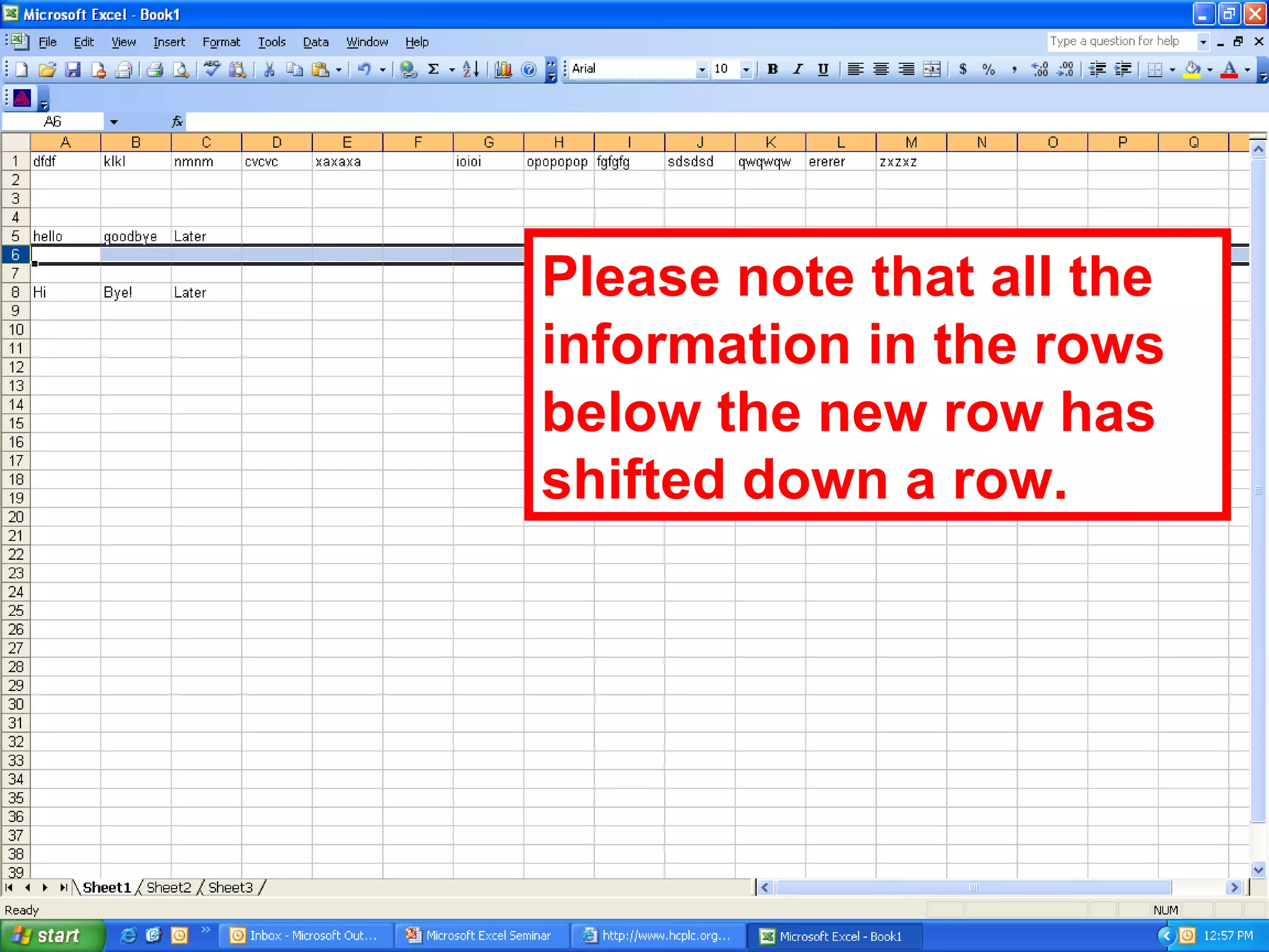 Please note that all the information in the rows below the new row has shifted down a row. 