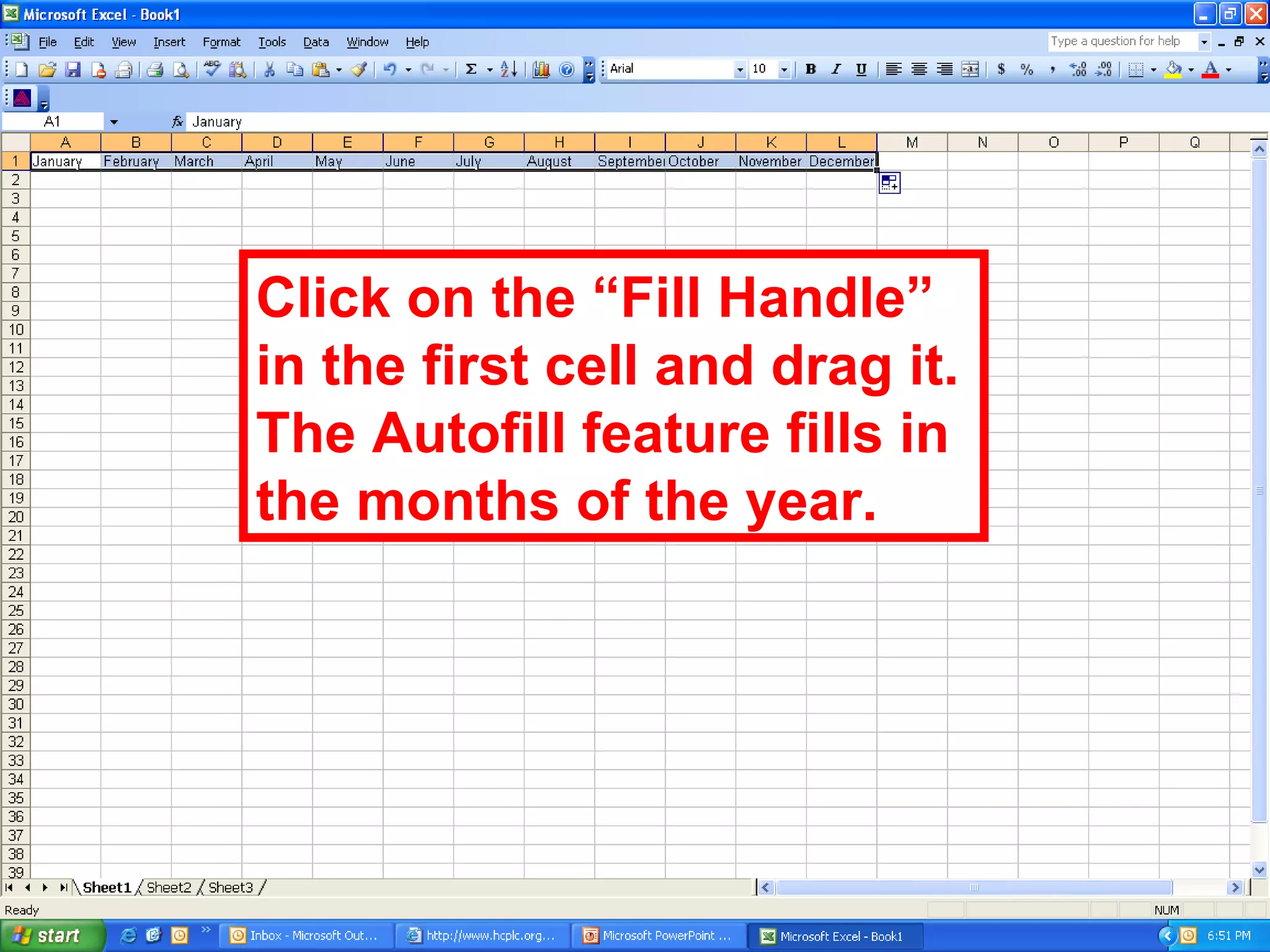 Click on the “Fill Handle” in the first cell and drag it. The Autofill feature fills in the months of the year. 