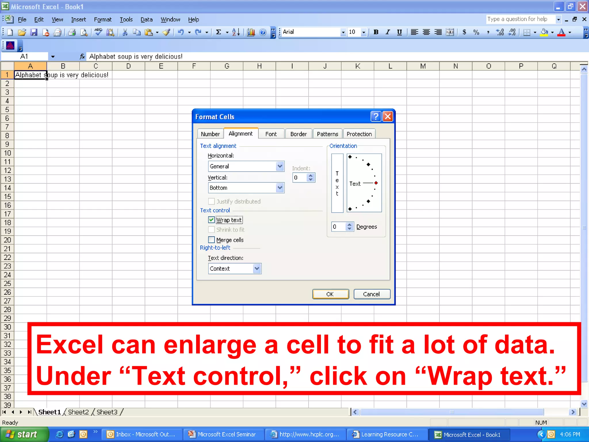Excel can enlarge a cell to fit a lot of data. Under “Text control,” click on “Wrap text.” 