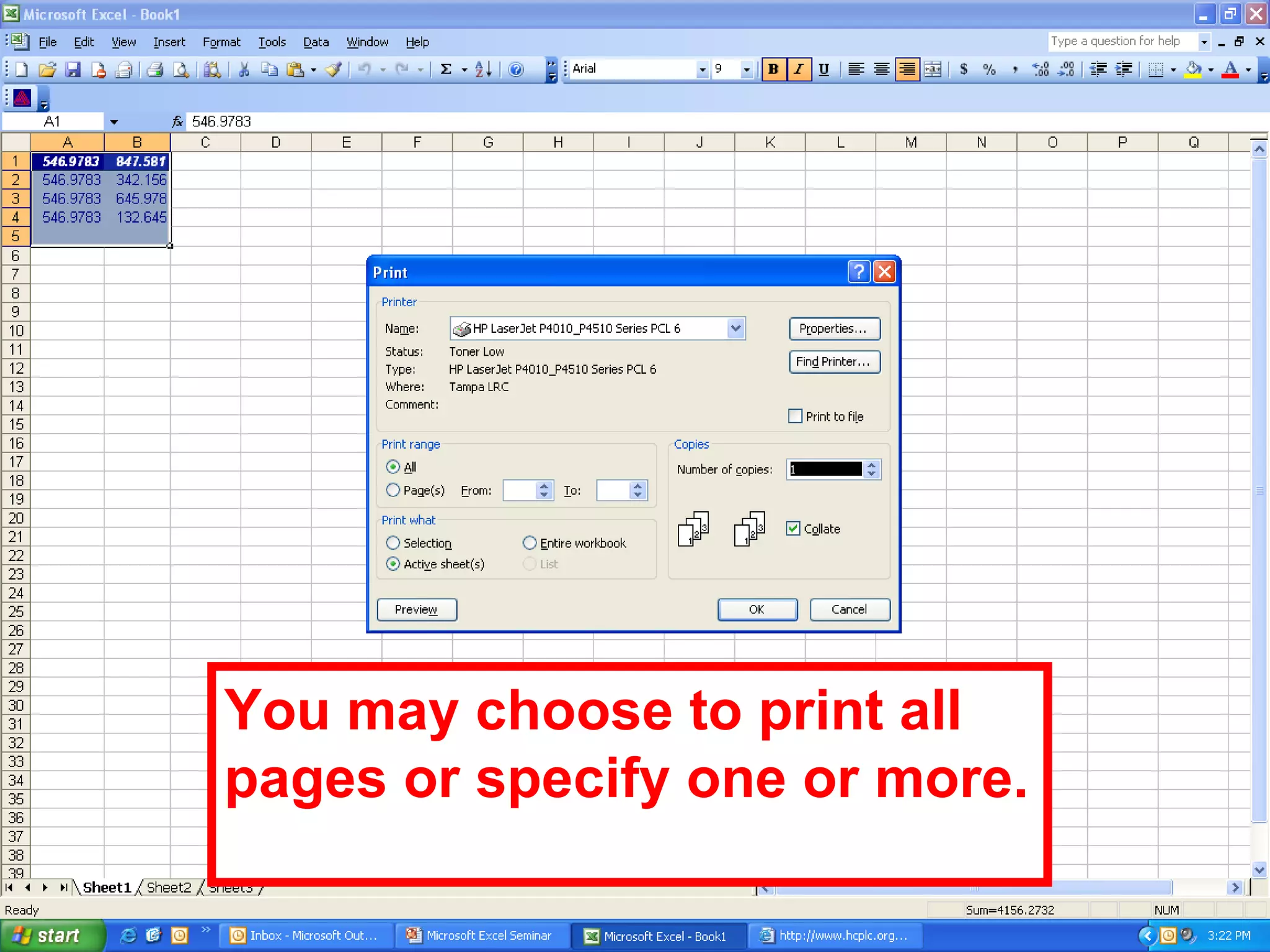 You may choose to print all pages or specify one or more.  