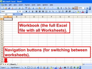 Workbook (the full Excel file with all Worksheets). Navigation buttons (for switching between worksheets). 