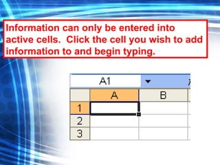 Information can only be entered into active cells.  Click the cell you wish to add information to and begin typing. 