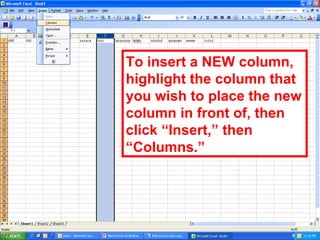 To insert a NEW column, highlight the column that you wish to place the new column in front of, then click “Insert,” then “Columns.” 