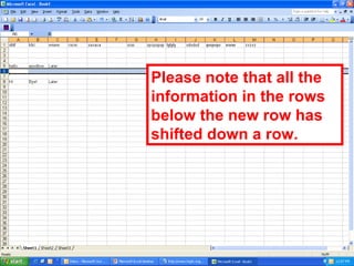 Please note that all the information in the rows below the new row has shifted down a row. 