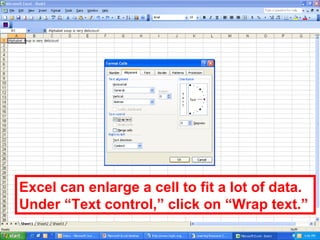 Excel can enlarge a cell to fit a lot of data. Under “Text control,” click on “Wrap text.” 