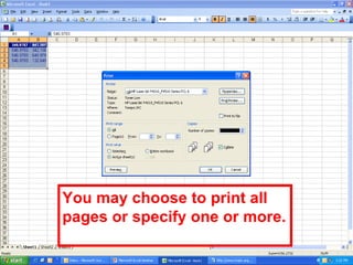 You may choose to print all pages or specify one or more.  