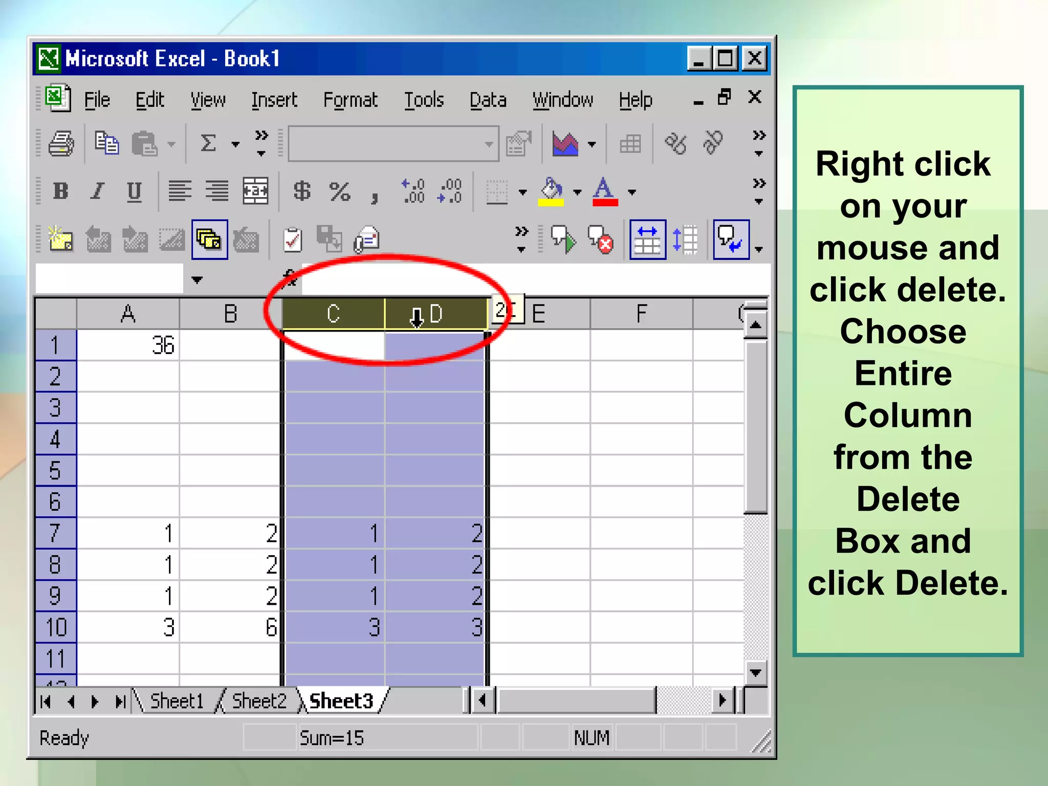 Right click on your mouse and click delete. Choose Entire Column from the Delete Box and click Delete. 