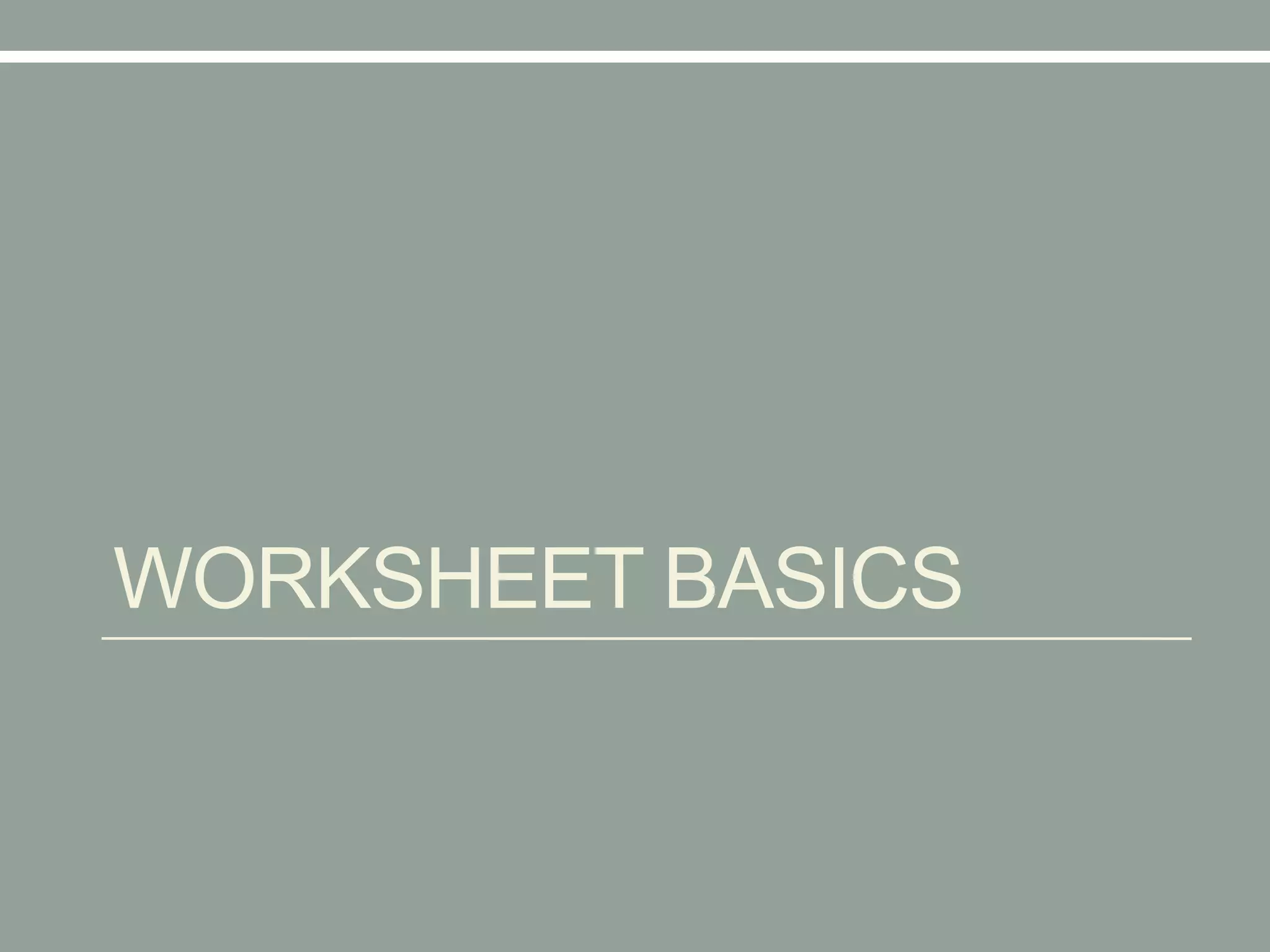 WORKSHEET BASICS
 