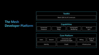 Microsoft Mesh - Developer Platform Overview | PDF