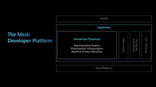 Microsoft Mesh - Developer Platform Overview | PDF