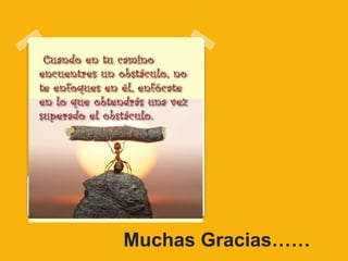 Muchas Gracias……
 