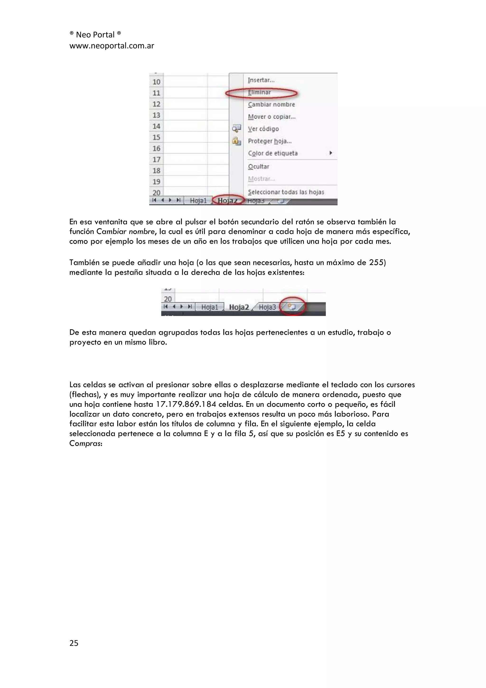® Neo Portal ®
www.neoportal.com.ar




En esa ventanita que se abre al pulsar el botón secundario del ratón se observa también la
función Cambiar nombre, la cual es útil para denominar a cada hoja de manera más específica,
como por ejemplo los meses de un año en los trabajos que utilicen una hoja por cada mes.

También se puede añadir una hoja (o las que sean necesarias, hasta un máximo de 255)
mediante la pestaña situada a la derecha de las hojas existentes:




De esta manera quedan agrupadas todas las hojas pertenecientes a un estudio, trabajo o
proyecto en un mismo libro.



Las celdas se activan al presionar sobre ellas o desplazarse mediante el teclado con los cursores
(flechas), y es muy importante realizar una hoja de cálculo de manera ordenada, puesto que
una hoja contiene hasta 17.179.869.184 celdas. En un documento corto o pequeño, es fácil
localizar un dato concreto, pero en trabajos extensos resulta un poco más laborioso. Para
facilitar esta labor están los títulos de columna y fila. En el siguiente ejemplo, la celda
seleccionada pertenece a la columna E y a la fila 5, así que su posición es E5 y su contenido es
Compras:




25
 