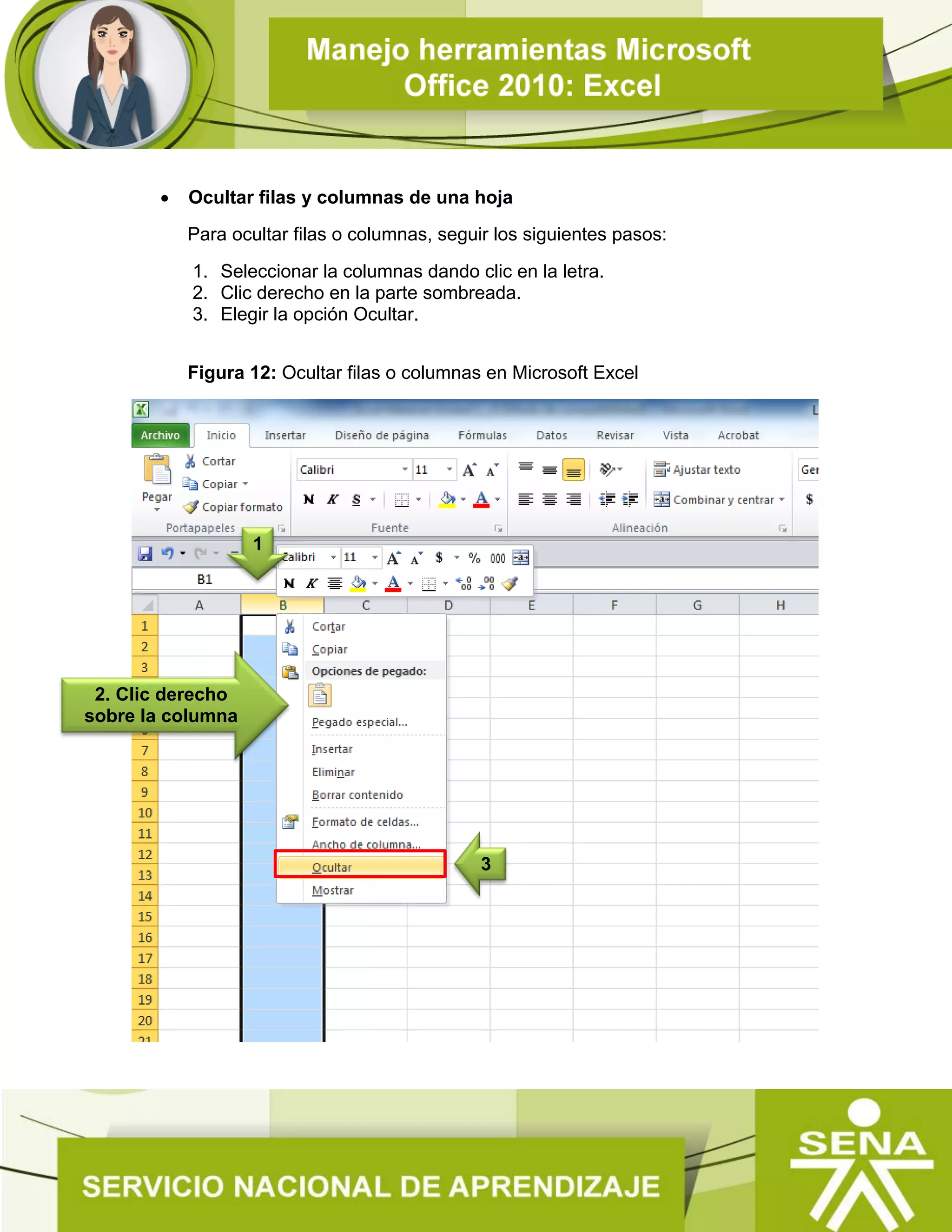  Ocultar filas y columnas de una hoja
Para ocultar filas o columnas, seguir los siguientes pasos:
1. Seleccionar la columnas dando clic en la letra.
2. Clic derecho en la parte sombreada.
3. Elegir la opción Ocultar.
Figura 12: Ocultar filas o columnas en Microsoft Excel
3
1
2. Clic derecho
sobre la columna
 