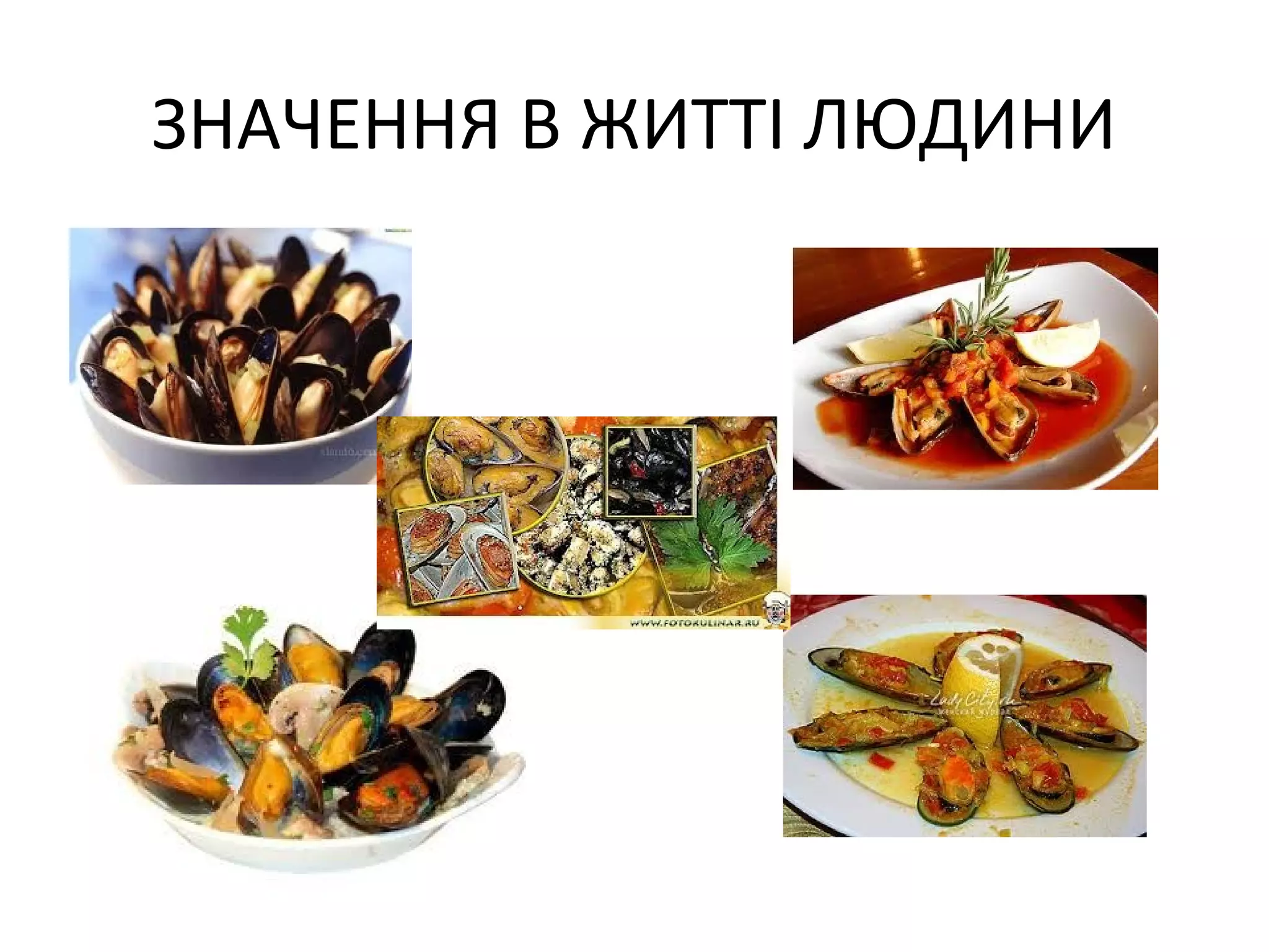 ЗНАЧЕННЯ В ЖИТТІ ЛЮДИНИ
 