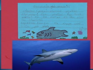 Η ταυτότητα των ζώων (Γ2)