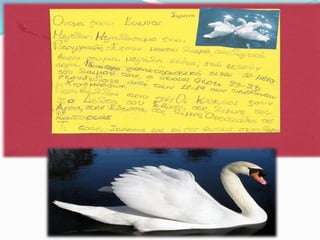 Η ταυτότητα των ζώων (Γ2)