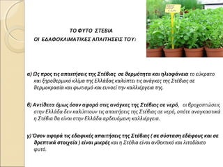 ΤΟ ΦΥΤΟ ΣΤΕΒΙΑ
ΟΙ ΕΔΑΦΟΚΛΙΜΑΤΙΚΕΣ ΑΠΑΙΤΗΣΕΙΣ ΤΟΥ:
α) Ως προς τις απαιτήσεις της Στέβιας σε θερμότητα και ηλιοφάνεια το εύκρατο
και ξηροθερμικό κλίμα της Ελλάδας καλύπτει τις ανάγκες της Στέβιας σε
θερμοκρασία και φωτισμό και ευνοεί την καλλιέργεια της.
β) Αντίθετα όμως όσον αφορά στις ανάγκες της Στέβιας σε νερό, οι βροχοπτώσεις
στην Ελλάδα δεν καλύπτουν τις απαιτήσεις της Στέβιας σε νερό, οπότε αναγκαστικά
η Στέβια θα είναι στην Ελλάδα αρδευόμενη καλλιέργεια.
γ) Όσον αφορά τις εδαφικές απαιτήσεις της Στέβιας ( σε σύσταση εδάφους και σε
θρεπτικά στοιχεία ) είναι μικρές και η Στέβια είναι ανθεκτικό και λιτοδίαιτο
φυτό.
 