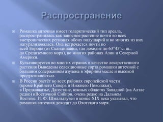  Ромашка аптечная имеет голарктический тип ареала,
распространилась как заносное растение почти во всех
внетропических регионах обоих полушарий и во многих из них
натурализовалась. Она встречается почти по
всей Европе (от Скандинавии, где доходит до 63°45′ с. ш.,
до Средиземного моря), во многих районах Азии и Северной
Америки.
 Культивируется во многих странах в качестве лекарственного
растения Выведены селекционные сорта ромашки аптечной с
большим содержанием азулена в эфирном масле и высокой
продуктивностью.
 В России растёт во всех районах европейской части
(кроме Крайнего Севера и Нижнего Поволжья),
в Предкавказье, Дагестане, южных областях Западной (на Алтае
редко) иВосточной Сибири, очень редко на Дальнем
Востоке. И. Ф. Шмальгаузен в конце XIX века указывал, что
ромашка аптечная доходит до Охотского моря.
 
