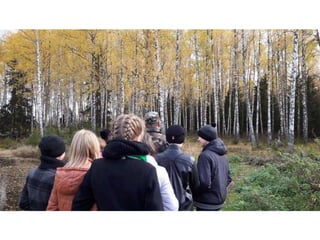 презентация Microsoft office power point