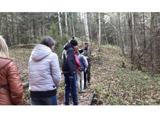 презентация Microsoft office power point