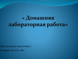 Презентацию подготовил :
Кокорин Илья 8 «В»
 