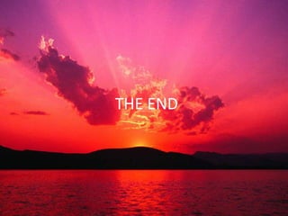 THE END
 