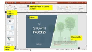Slides
Pane:
Slide:
More Button or Down
Arrow
Placeholder
s:
The
Ribbon
 