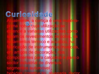 A CORTIÇA 
• Atualmente, A Cortiça é a um cortiça material é uma de 
matéria-prima 
origem nobre vegetal cuja da utilização casca 
se 
dos sobreiros ,leve e com grande poder 
isolante. A razão pela qual a cortiça possui 
estas características é a sua composição 
rica em suberina, uma substância lipídica 
(gordurosa) que se acumula na parede 
celular. 
estende a variadas utilizações como 
sejam os revestimentos de solos, os 
isolamentos térmico e acústico, na 
fabricação de instrumentos musicais, 
em artigos de decoração, nos 
componentes para calçados e para o 
sector industrial de diversos 
segmentos automóvel , 
bebidas, construção, alvenaria, decor 
 