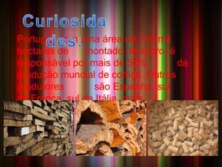 A CORTIÇA 
Portugal, com uma área de 730 mil 
hectares de montado de sobro, é 
responsável por mais de 50% da 
produção mundial de cortiça. Outros 
produtores são Espanha, sul 
da França, sul da Itália, mais 
recentemente Marrocos, Argélia, Tunísia. 
• A Cortiça é um material de 
origem vegetal da casca 
dos sobreiros ,leve e com grande poder 
isolante. A razão pela qual a cortiça possui 
estas características é a sua composição 
rica em suberina, uma substância lipídica 
(gordurosa) que se acumula na parede 
celular. 
 