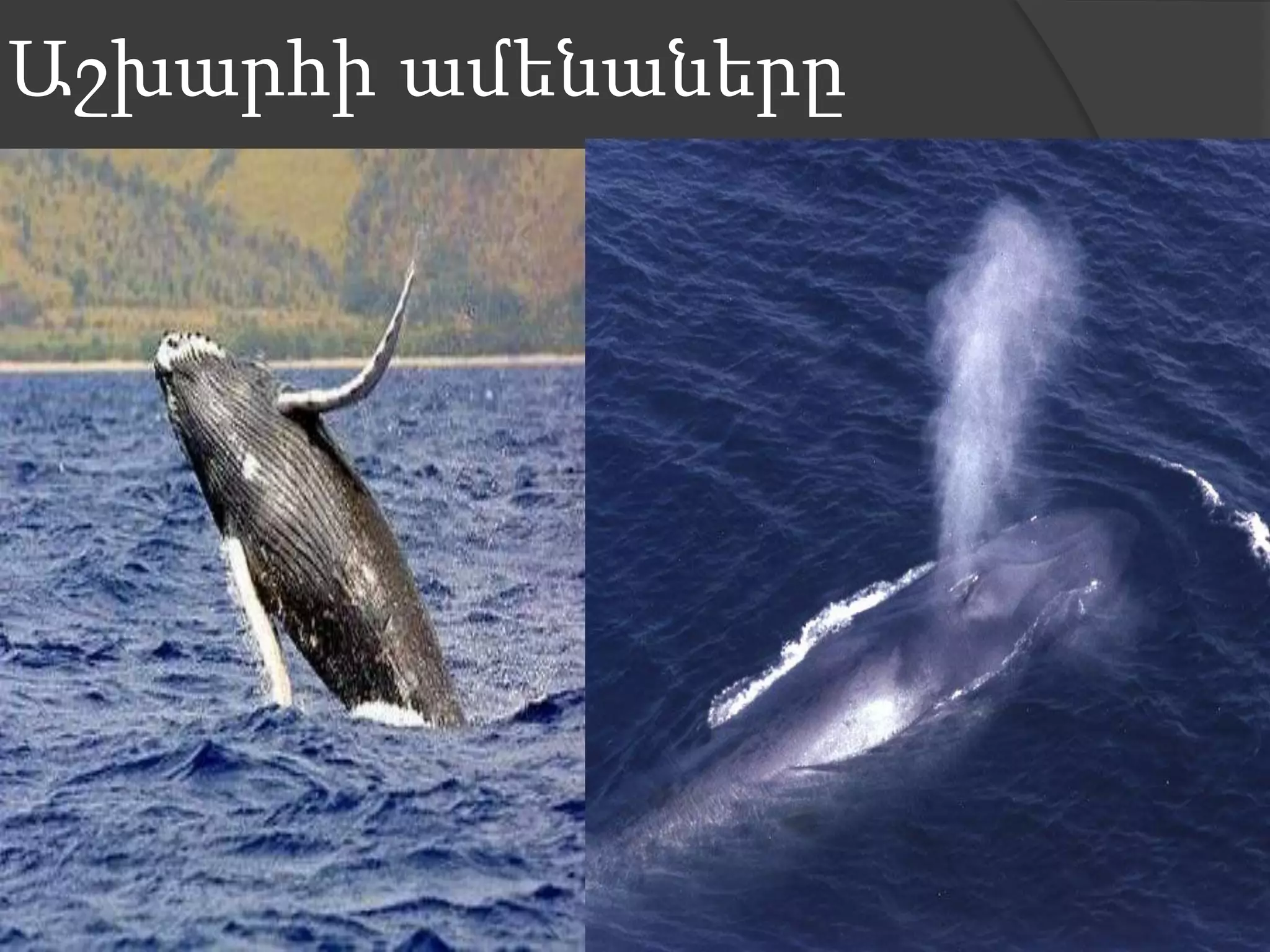 Աշխարհի ամենաները