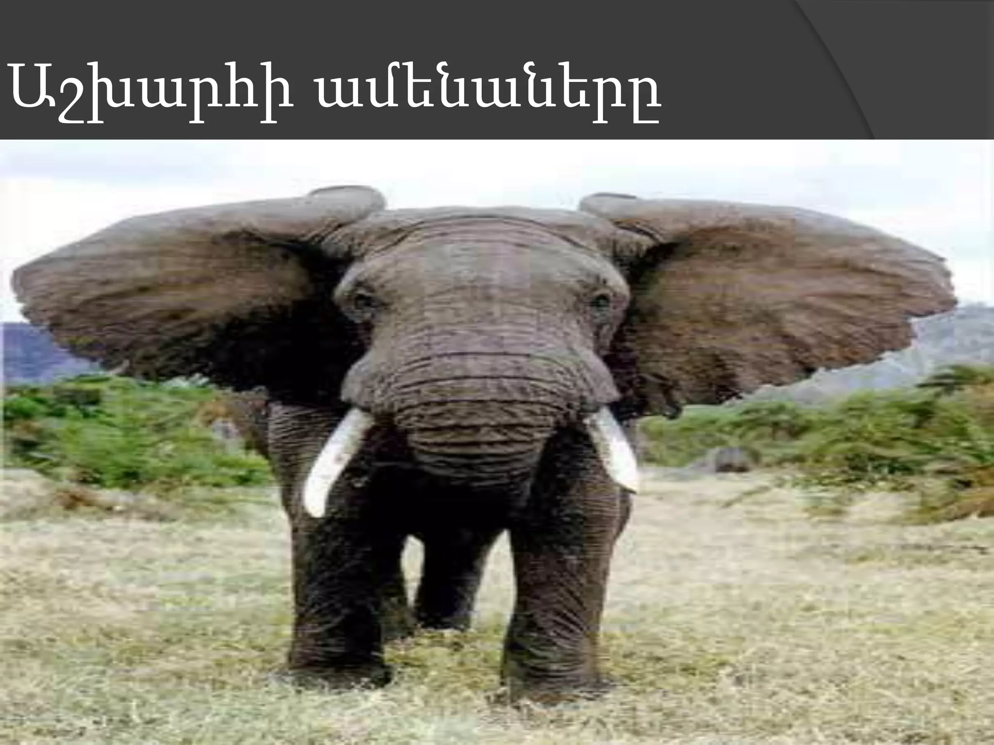 Աշխարհի ամենաները