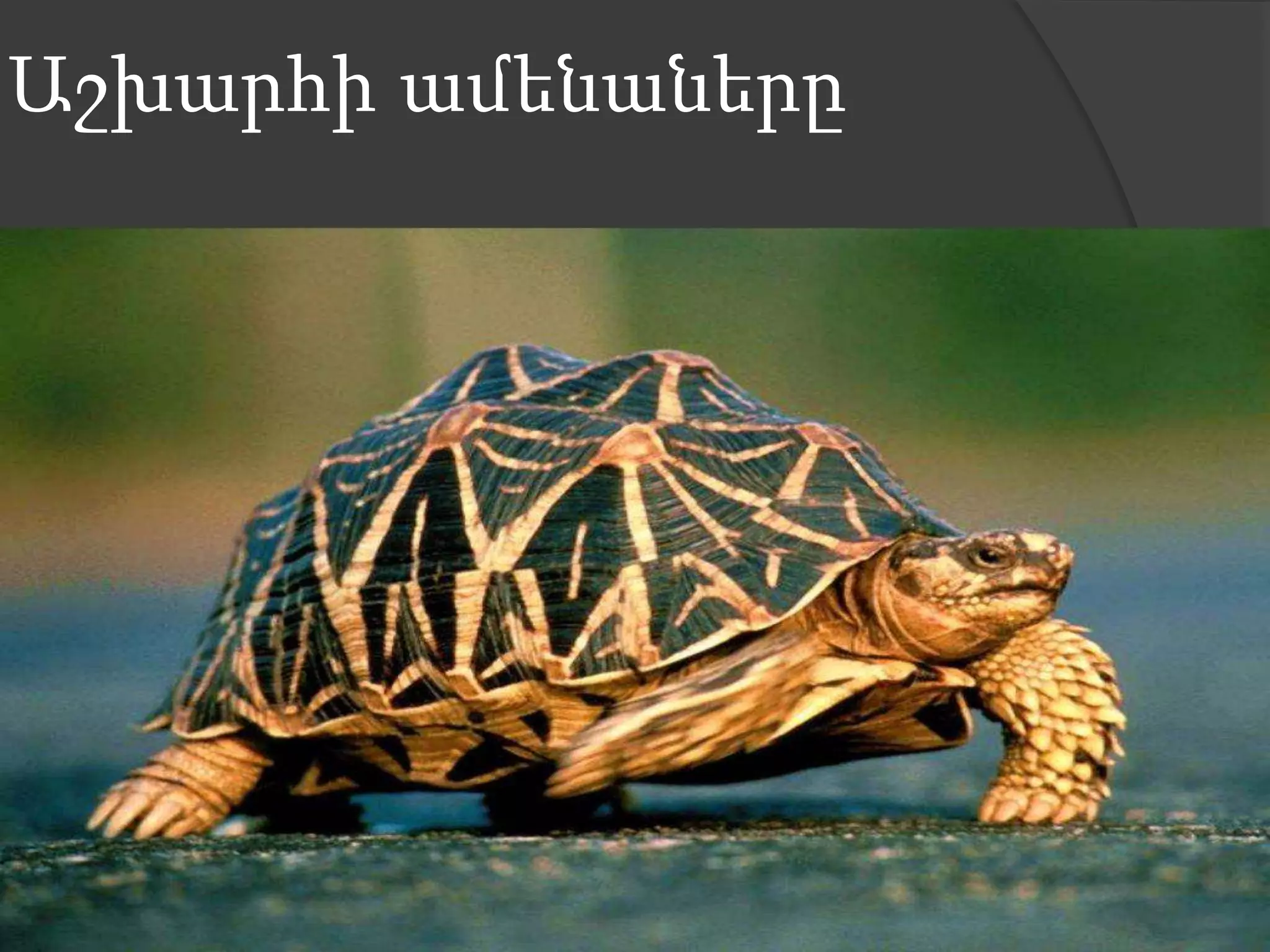 Աշխարհի ամենաները