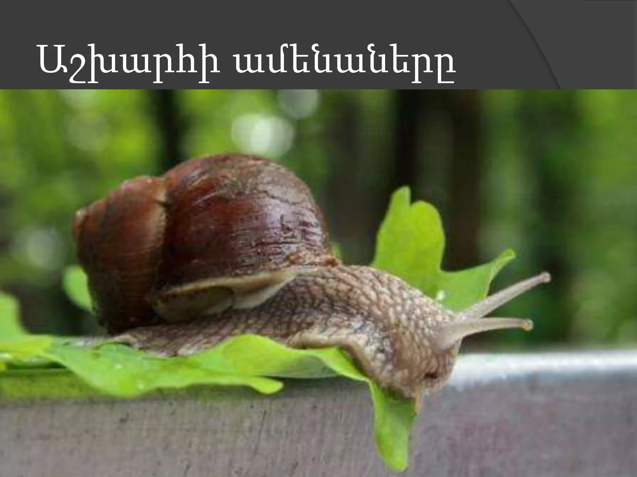 Աշխարհի ամենաները