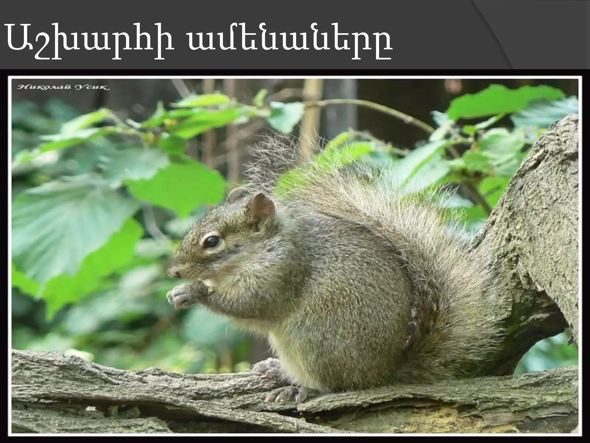 Աշխարհի ամենաները