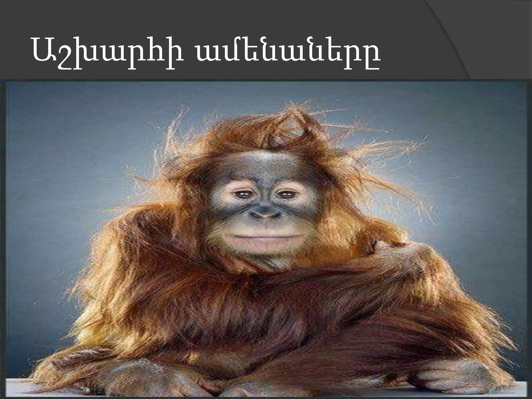 Աշխարհի ամենաները