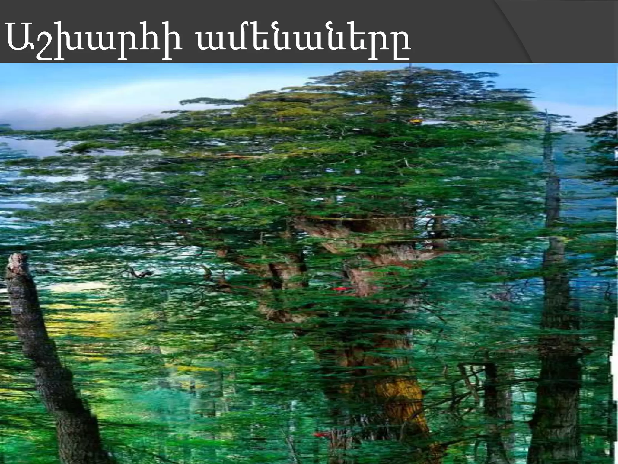 Աշխարհի ամենաները